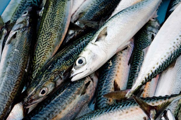 魚介類のぬめりを解消するには？炭酸水の泡には脱臭効果も？！